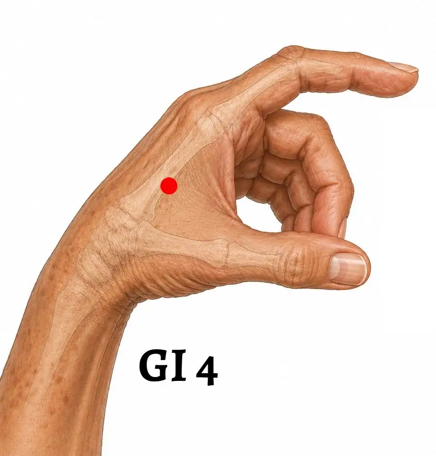 Acu GI 4