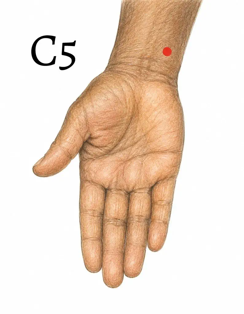 C5