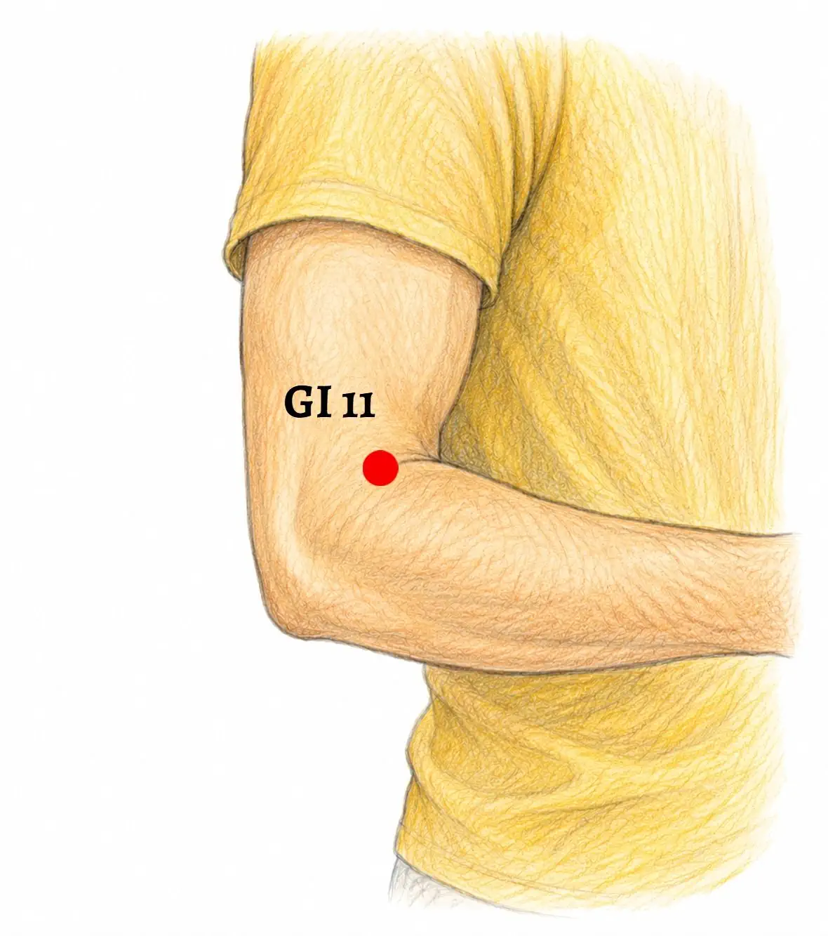 GI 11