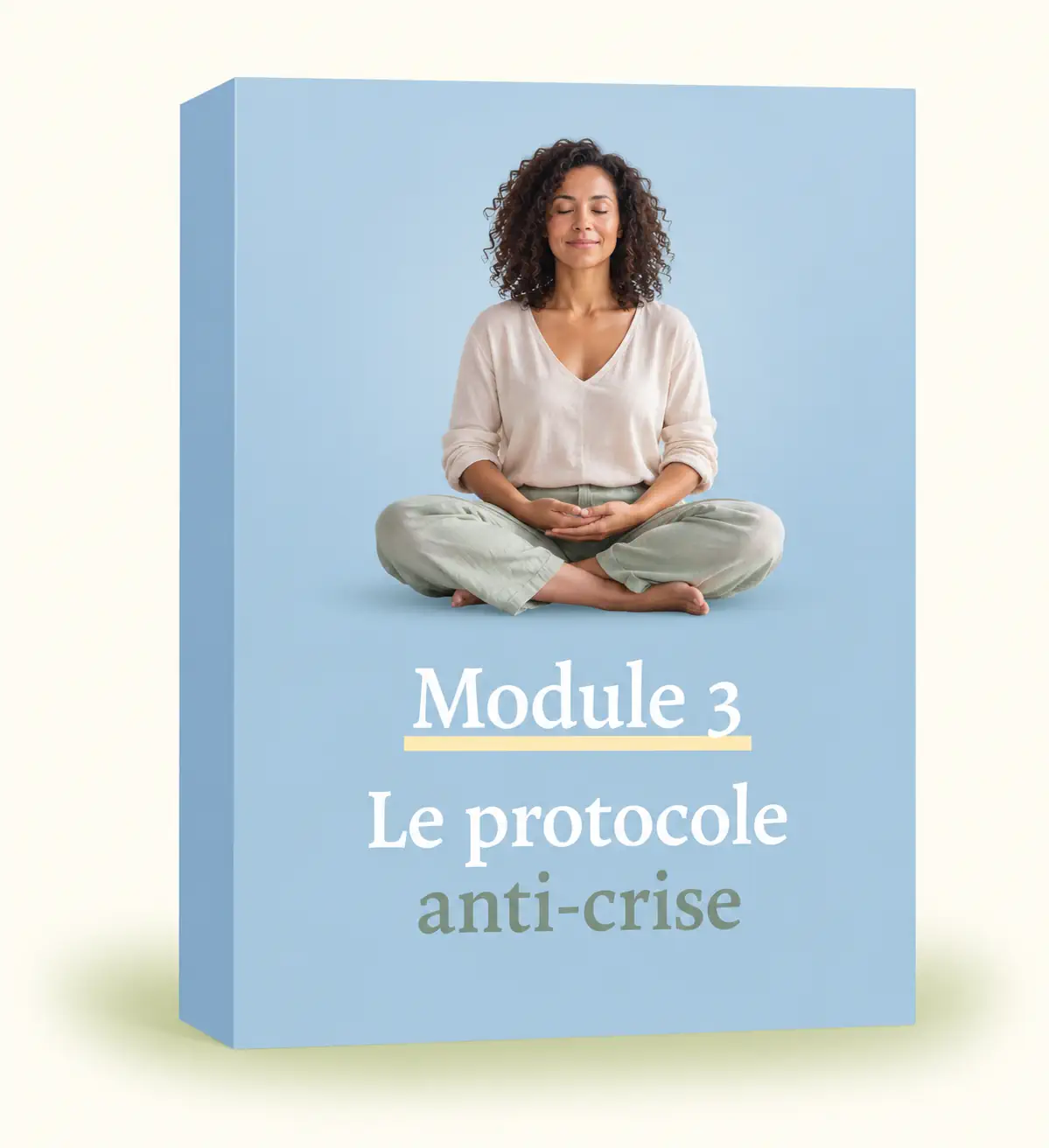 Module 3 _ Le protocole anti-crise