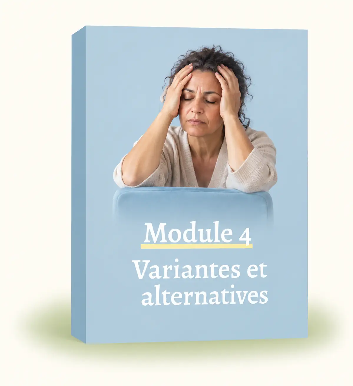 Module 4 _ Variantes et alternatives
