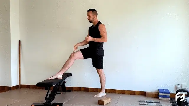 Split squat