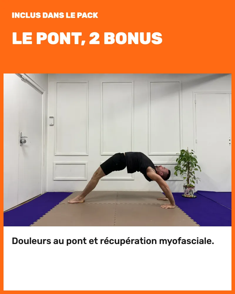 Les 2 bonus du Pont