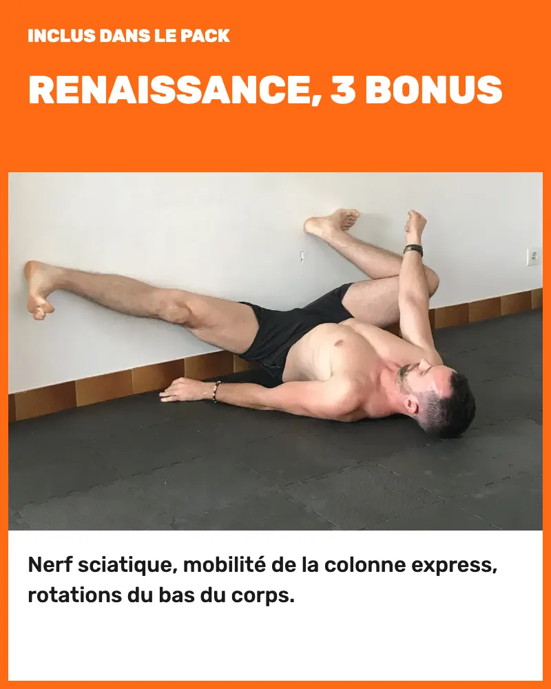 Les 3 bonus de Renaissance