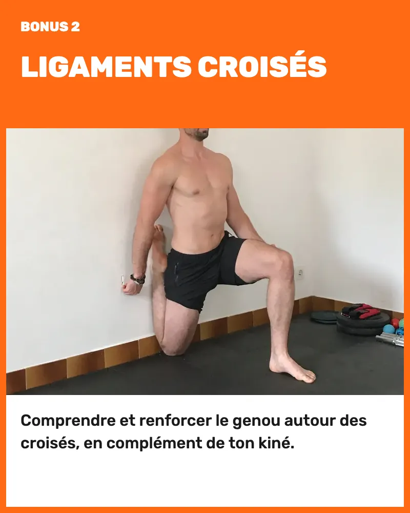 Bonus 2, ligaments croisés