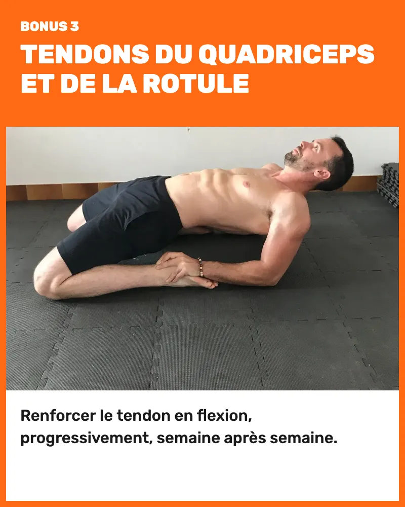 Bonus 3, tendons du quadriceps et de la rotule