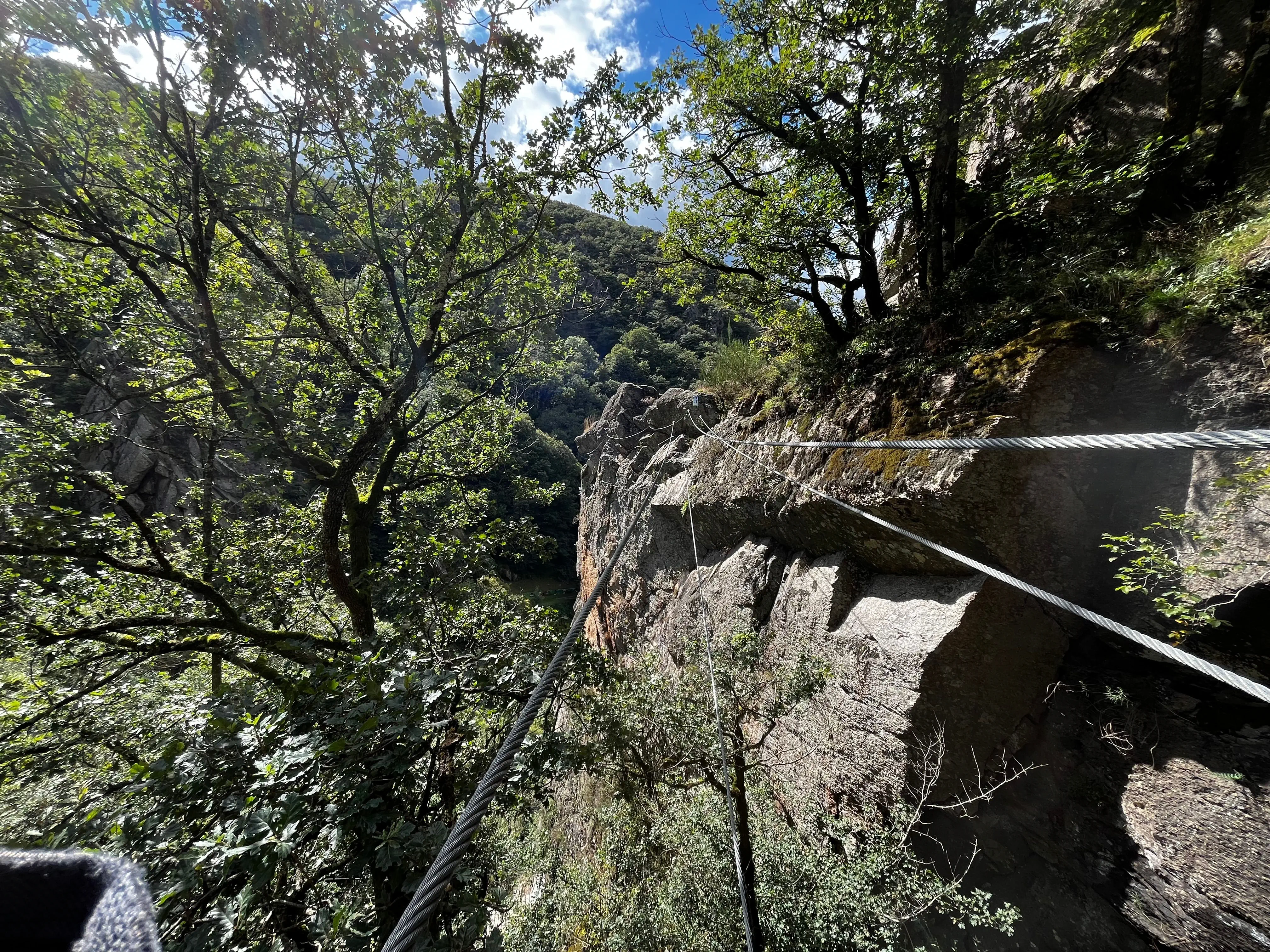 Pont de singe d'une via ferrata au-dessus de la vallée boisée