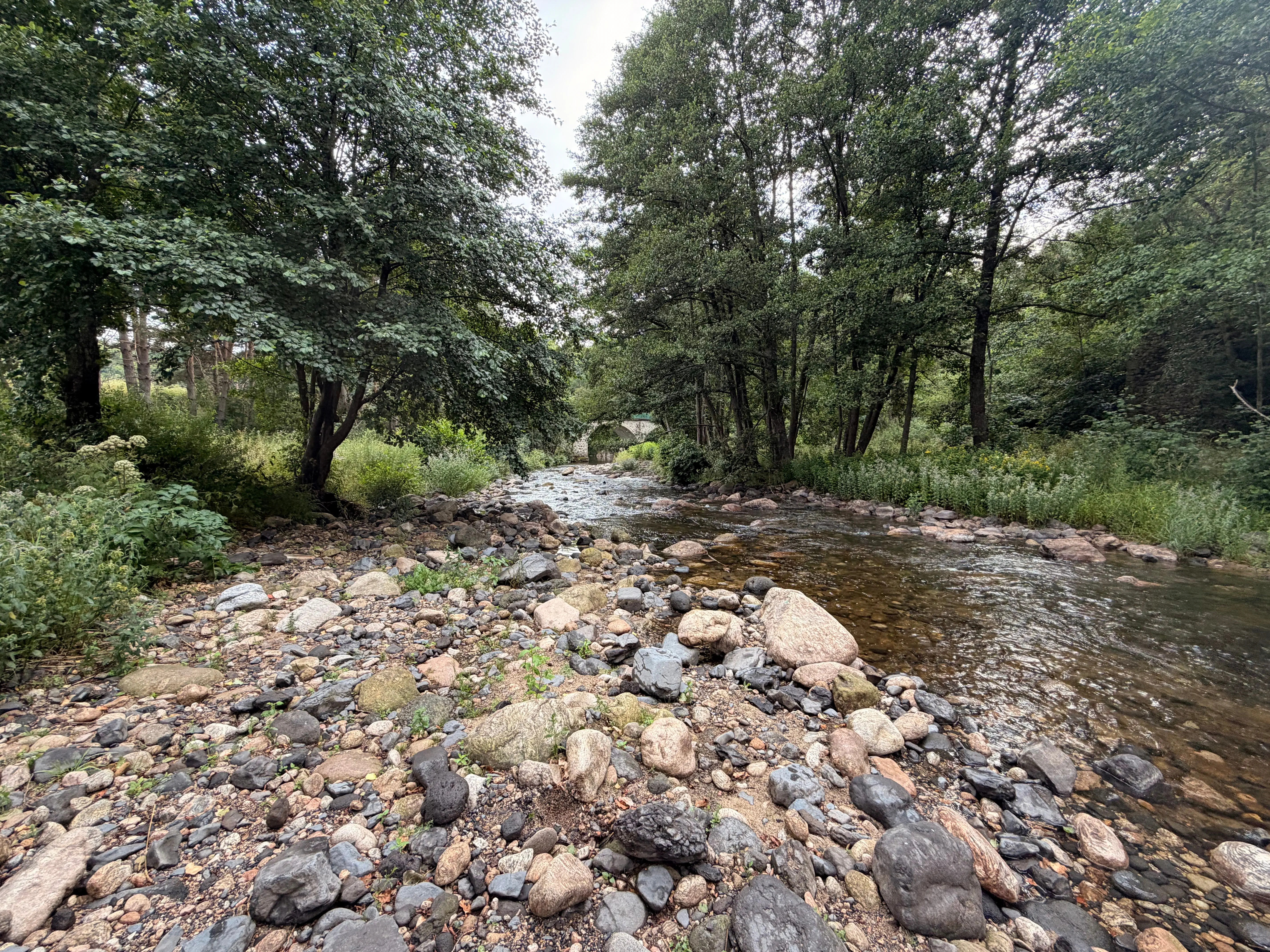 Rivière fraîche au fond d'une vallée boisée, spot de baignade en van