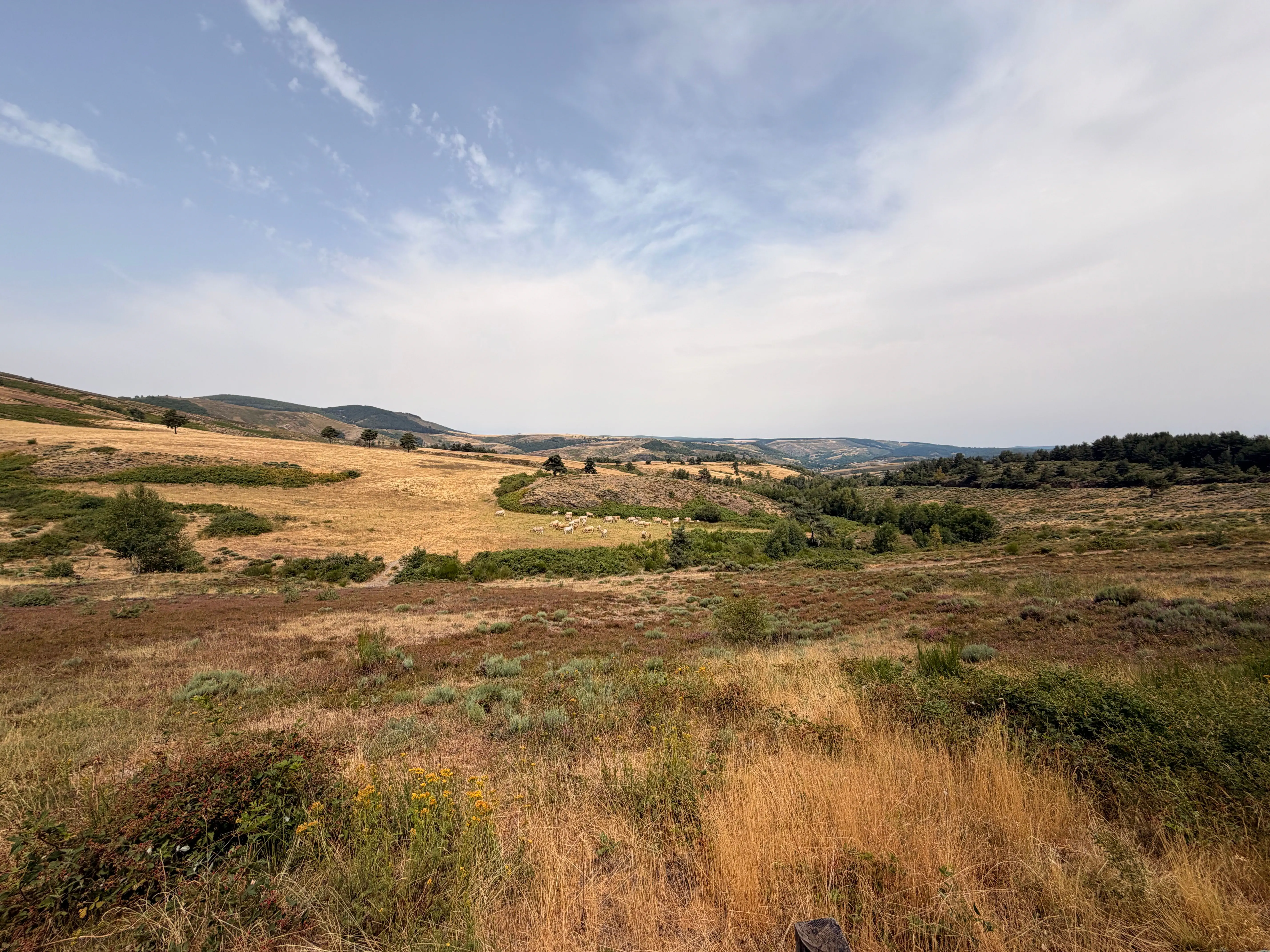 Plateau ouvert et balayé par le vent en Lozère, idéal pour dormir au frais en van