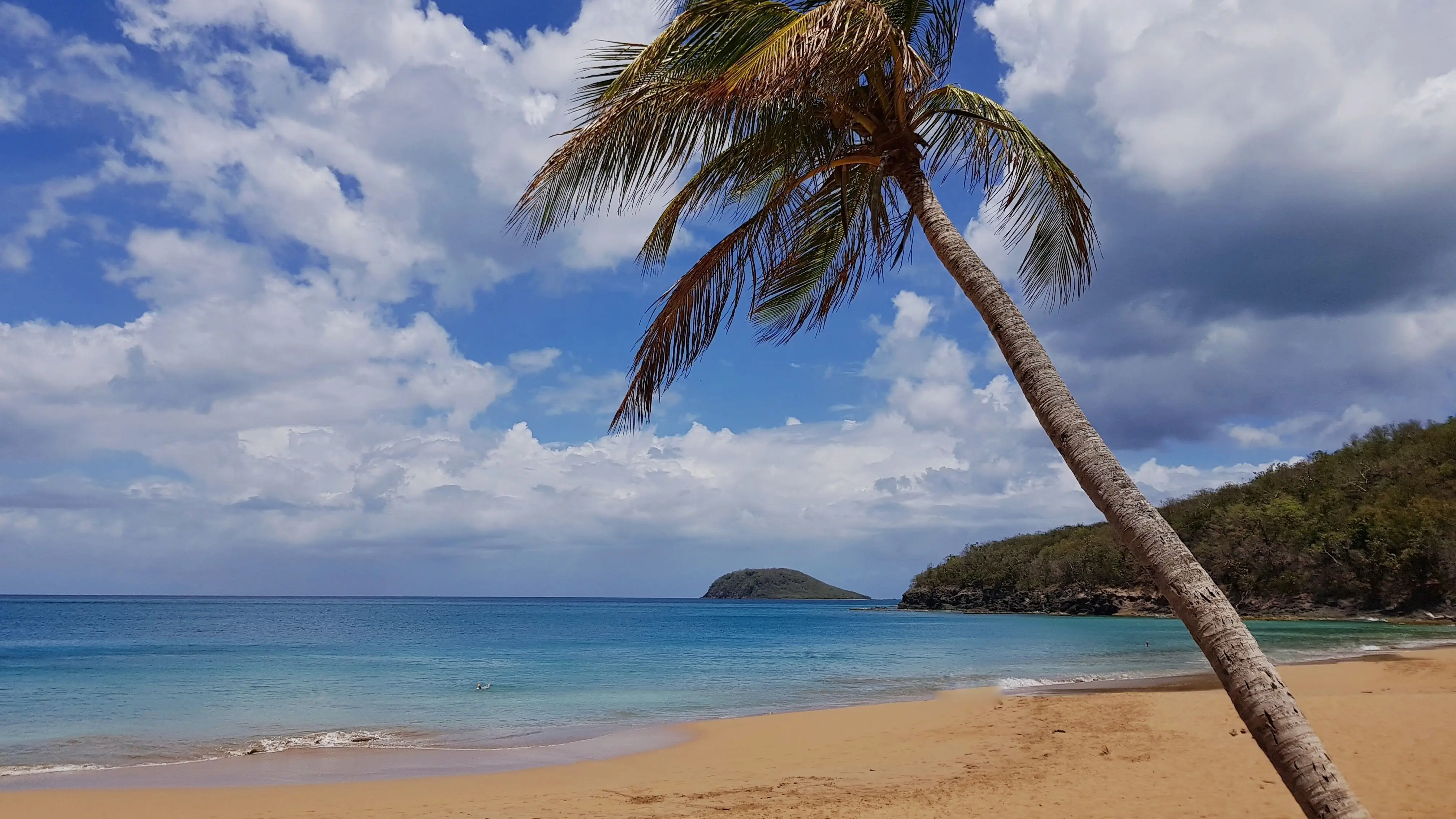 Plage tropicale ouverte bordée de cocotiers, mer calme et vagues douces sous une lumière tendre