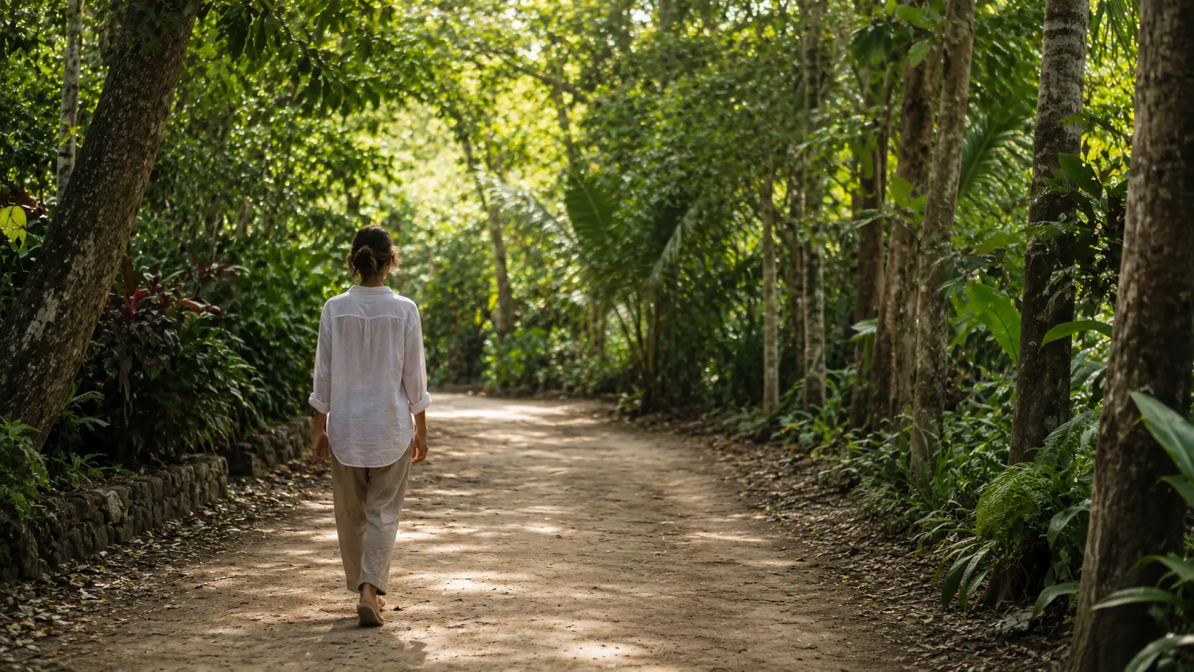 Chemin bordé d'arbres — marcher lentement, sans compter