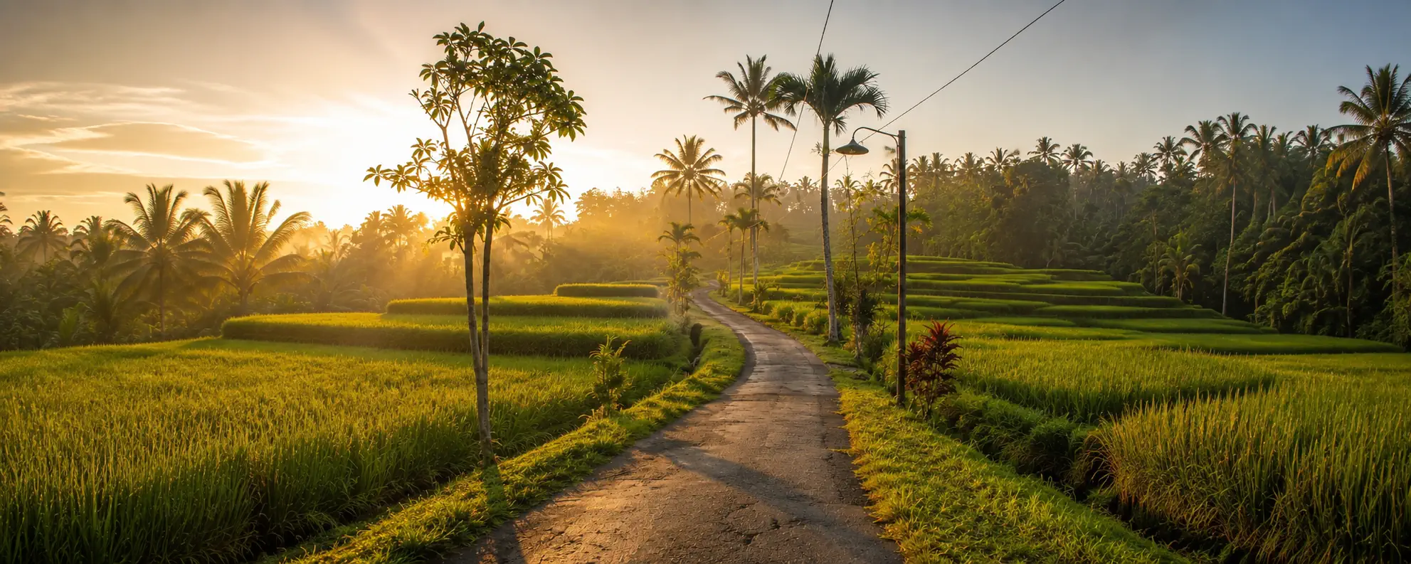 Ambiance tropicale et lente d'Ubud à Bali, végétation et douceur du voyage lent