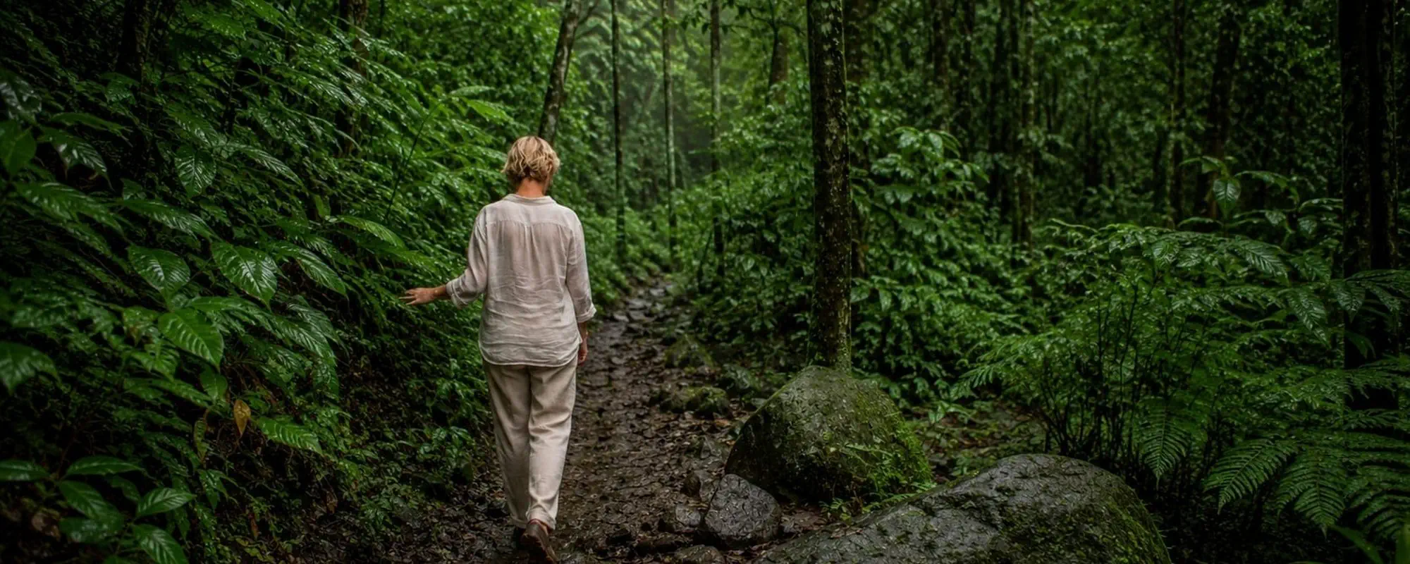 Chemin dans une forêt tropicale, lumière verte et humide, silhouette lointaine de dos
