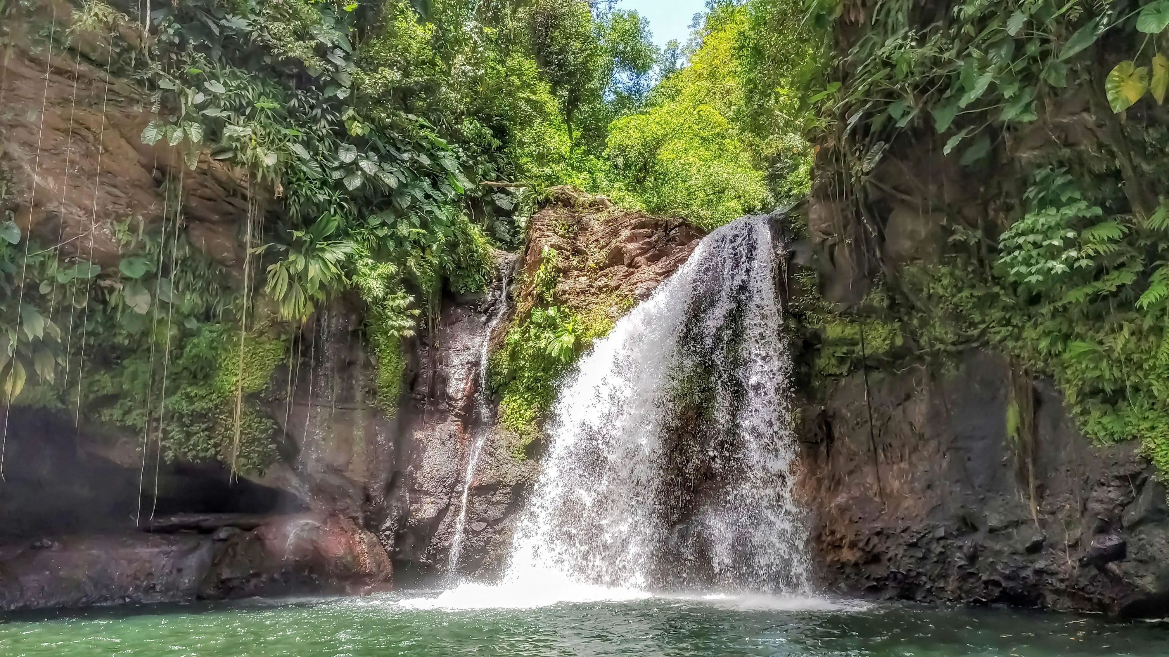 Petite cascade tombant entre des rochers moussus au cœur d'une forêt verte, eau claire