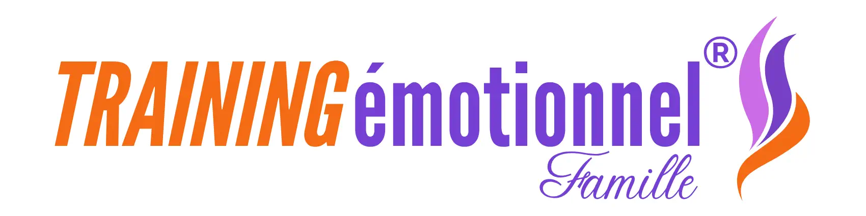 Logo TE complet couleurs PNG transparent