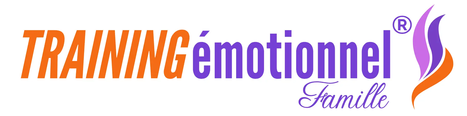 Logo TE complet couleurs PNG transparent