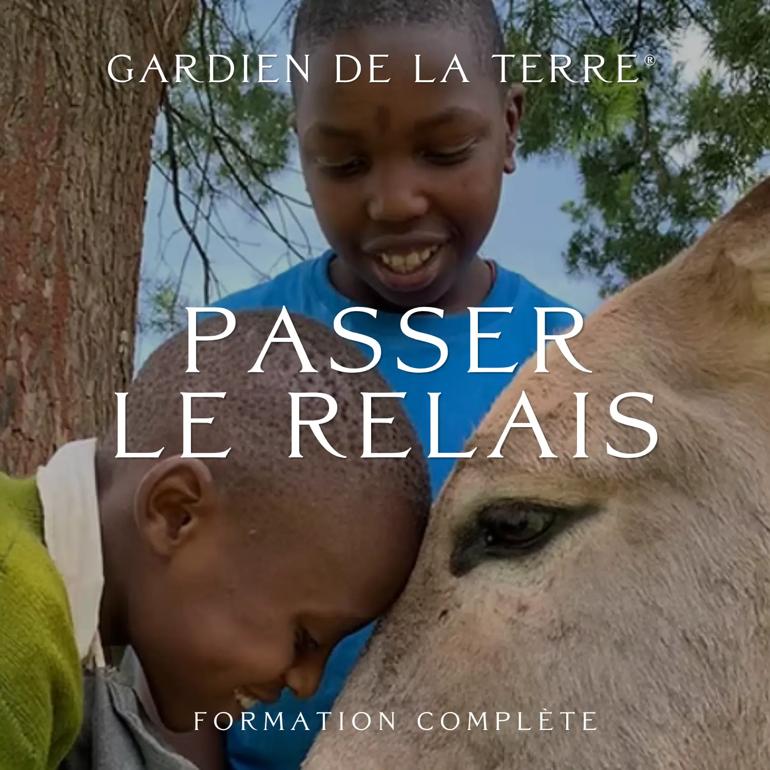 Des mains d'enfant plantant un jeune semis