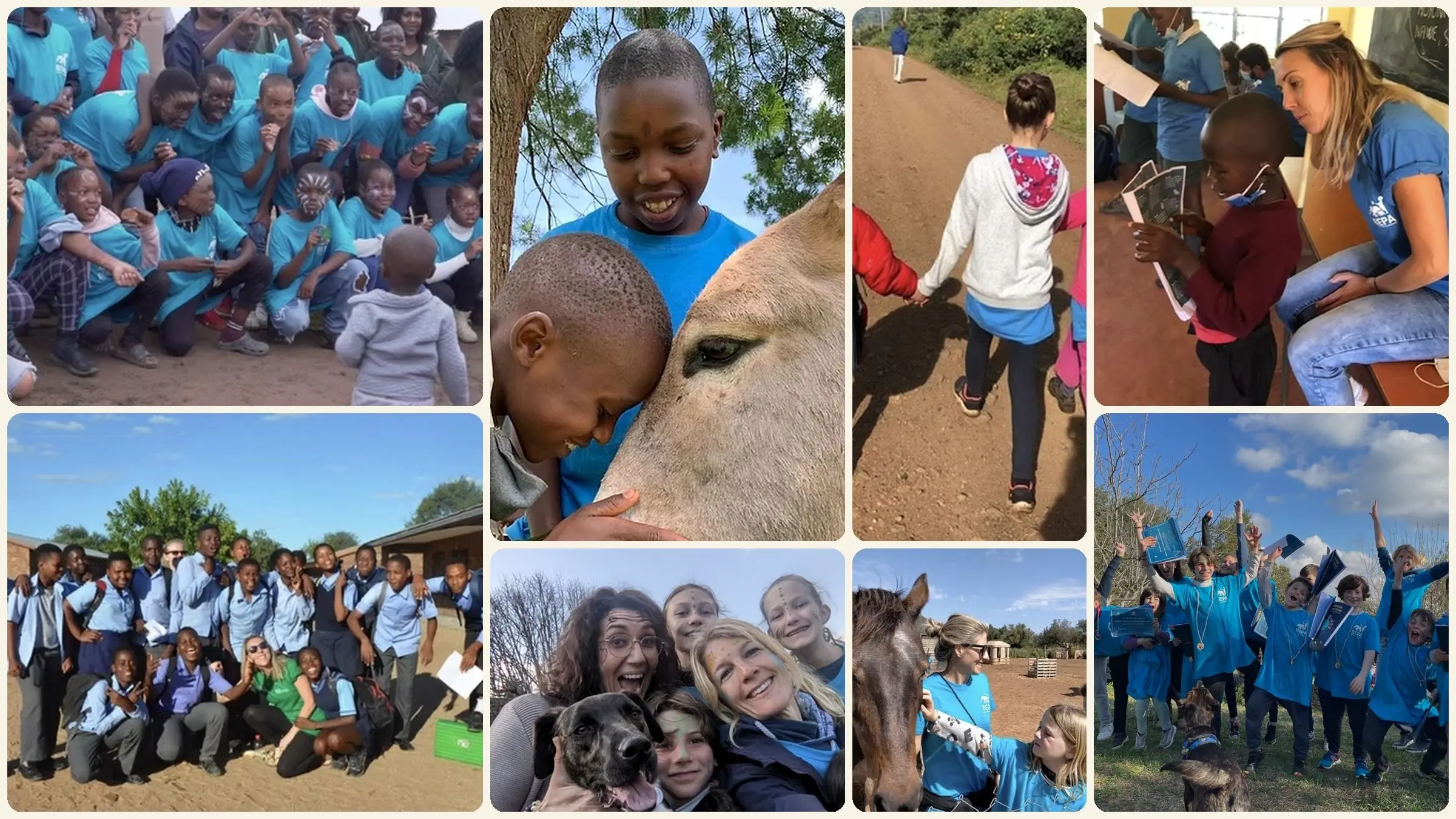 Mosaïque de photos : des enfants et des gardiens de la Terre en classe, sur le terrain, avec les animaux
