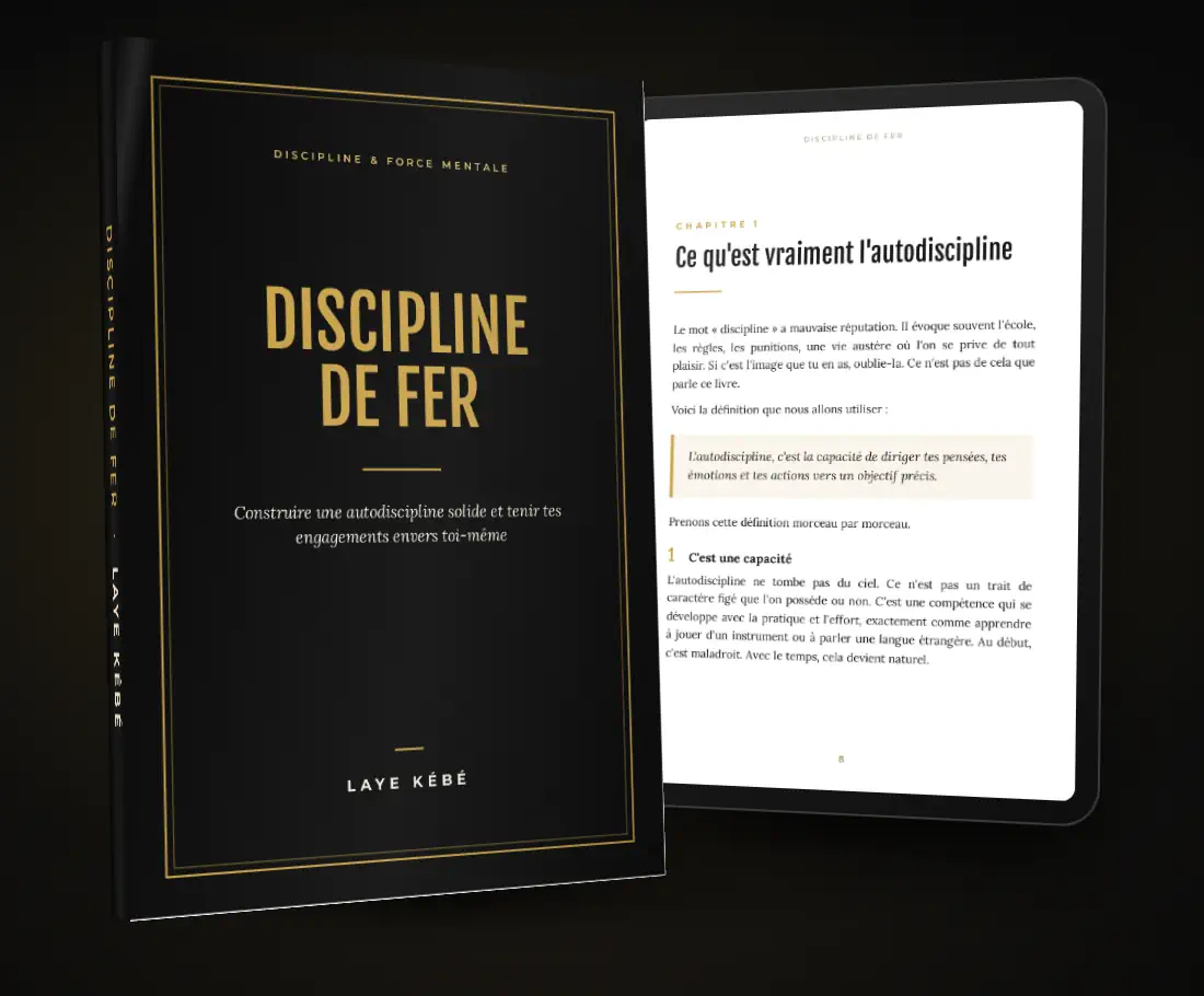mockup-zoom-discipline-de-fer