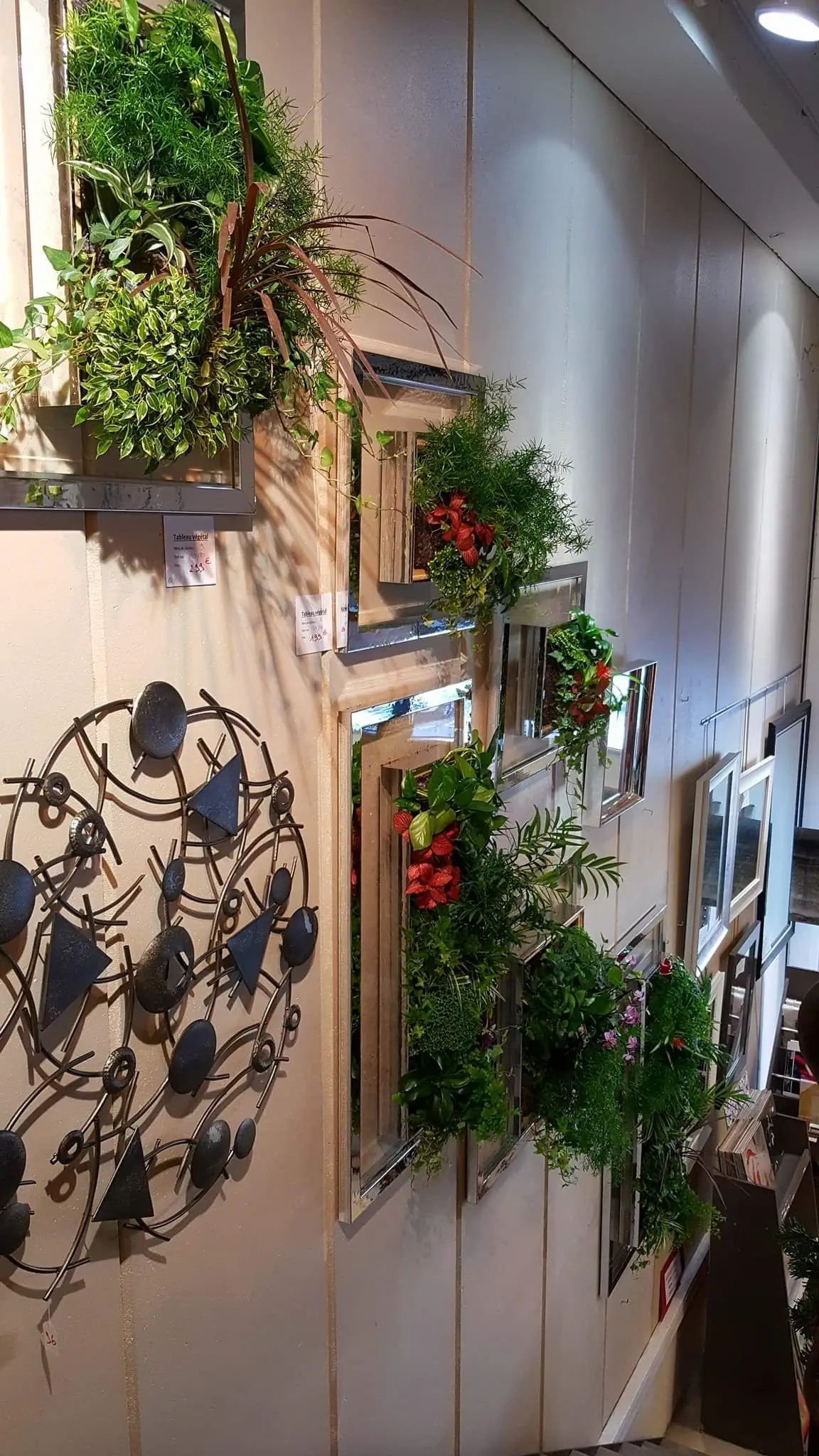 Mur végétal vivant dense de style jungle
