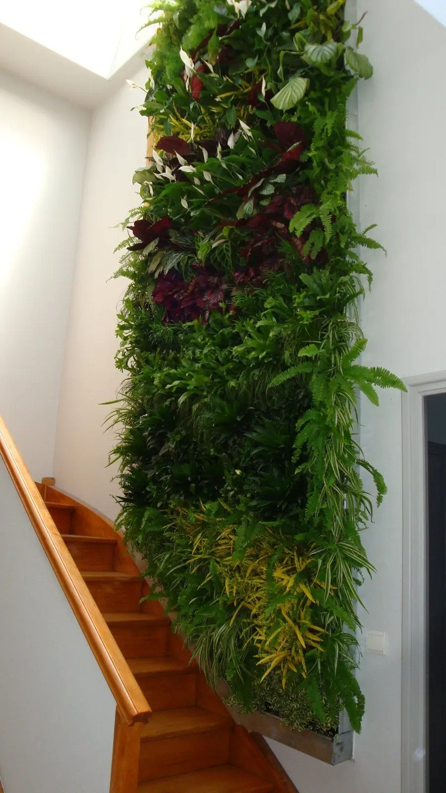aquaphuton-mur-vegetal-3